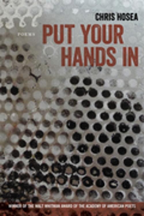 Cover of the book Put Your Hands In by Derek Chris Hosea, LSU Press