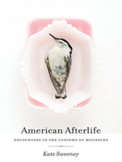 Cover of the book American Afterlife by Kate Sweeney, University of Georgia Press