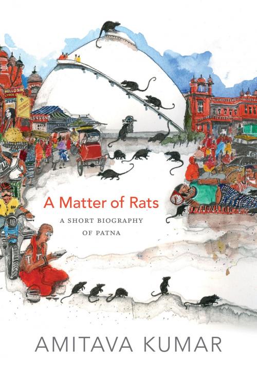 Cover of the book A Matter of Rats by Amitava Kumar, Duke University Press