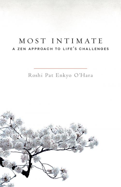 Cover of the book Most Intimate by Roshi Pat Enkyo O'Hara, Shambhala