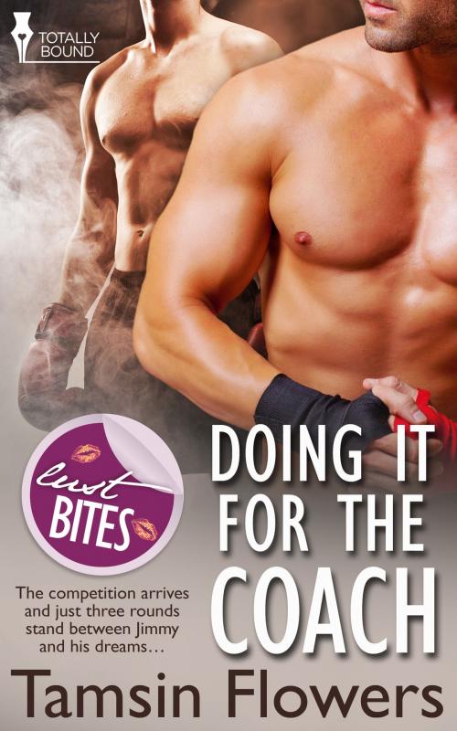 Cover of the book Doing It for the Coach by Tamsin Flowers, Totally Entwined Group Ltd