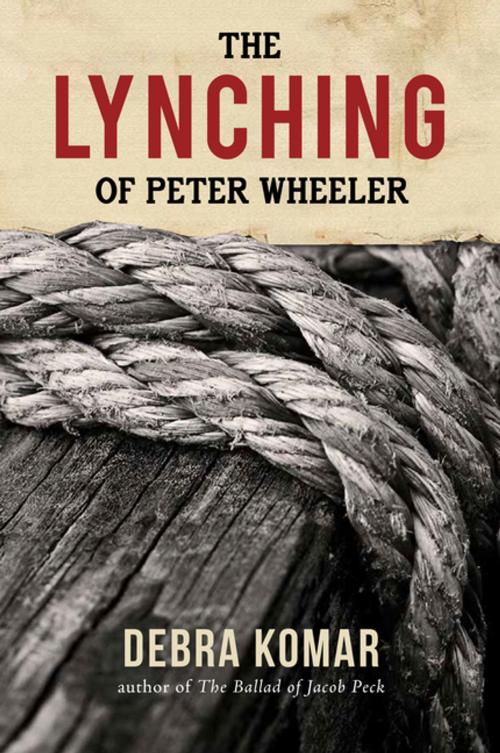Cover of the book The Lynching of Peter Wheeler by Debra Komar, Goose Lane Editions