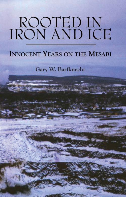 Cover of the book Rooted in Iron and Ice by Gary W. Barfknecht, North Star Press of St. Cloud