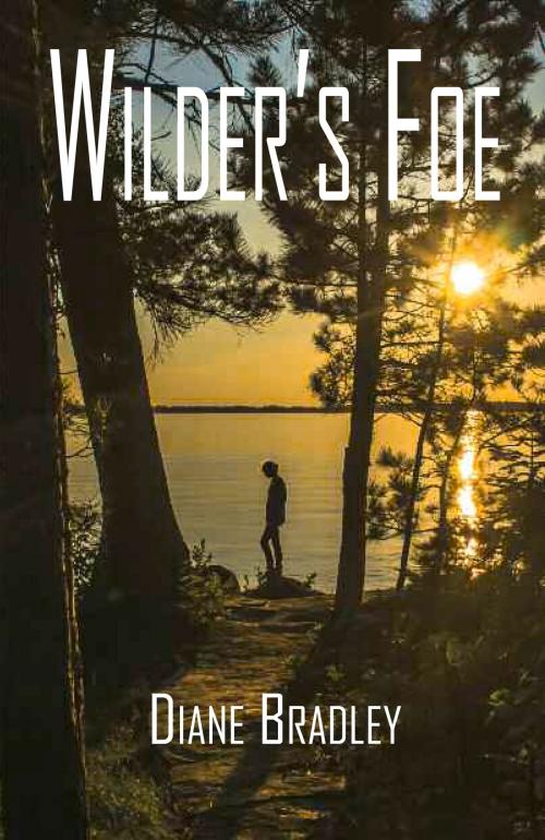 Cover of the book Wilder's Foe by Diane Bradley, North Star Press of St. Cloud