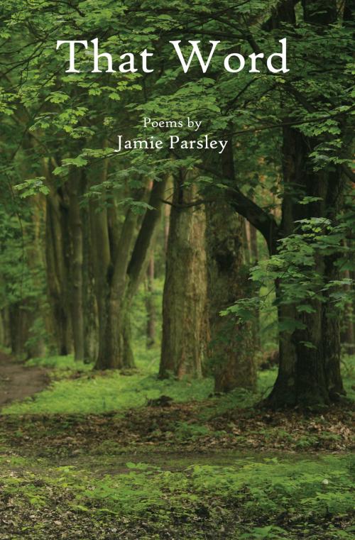 Cover of the book That Word by Jamie Parsley, North Star Press of St. Cloud