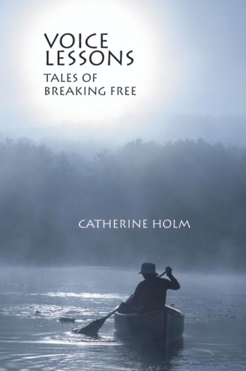 Cover of the book Voice Lessons by Catherine Holm, North Star Press of St. Cloud