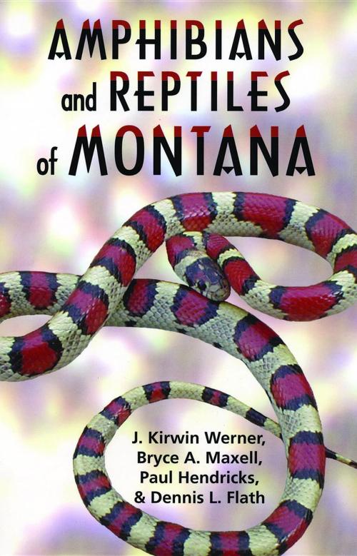 Cover of the book Amphibians and Reptiles of Montana by Kirwin J. Werner, Paul Hendricks, Bryce A. Maxell, Mountain Press Publishing Company