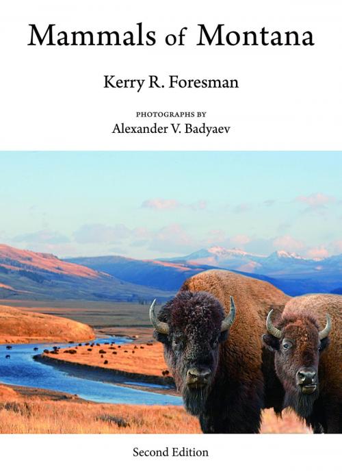 Cover of the book Mammals of Montana by Kerry R. Foresman, Alexander V. Badyaev, Mountain Press Publishing Company