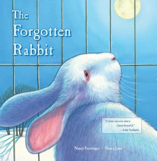 Cover of the book The Forgotten Rabbit by Nancy Furstinger, The Gryphon Press