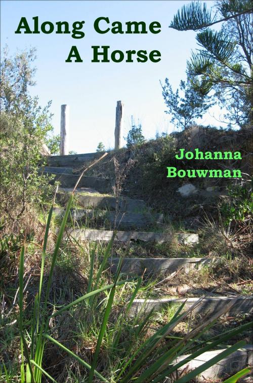 Cover of the book Along Came A Horse by Johanna Bouwman, Johanna Bouwman