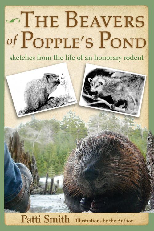 Cover of the book The Beavers of Popple's Pond by Patti Smith, Green Writers Press