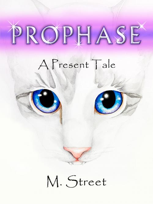 Cover of the book Prophase by M. Street, John Robert, Mitchel Street