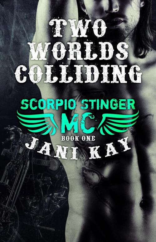 Cover of the book Two Worlds Colliding by Jani Kay, Jani Kay