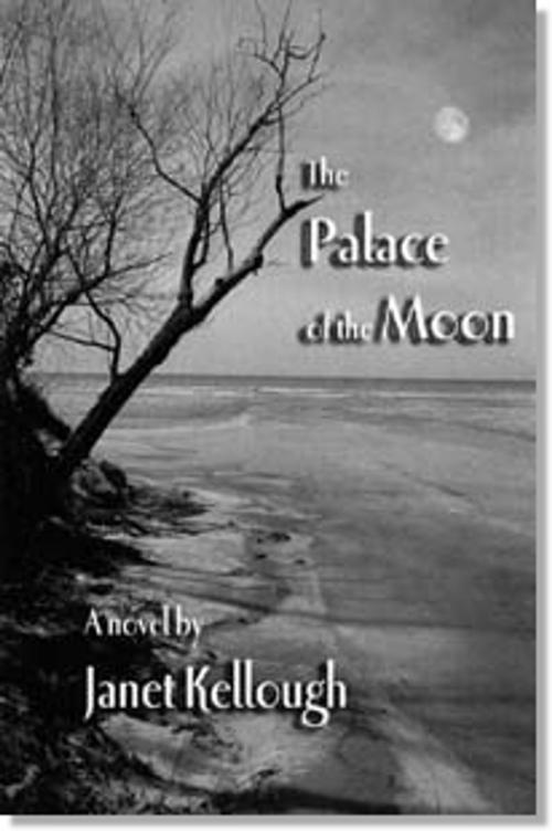 Cover of the book The Palace of the Moon by Janet Kellough, Janet Kellough