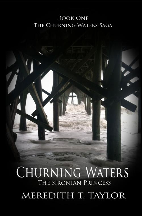 Cover of the book Churning Waters by Meredith T. Taylor, Meredith T. Taylor
