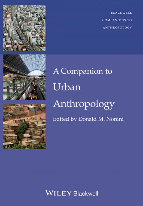 Cover of the book A Companion to Urban Anthropology by Donald M. Nonini, Wiley