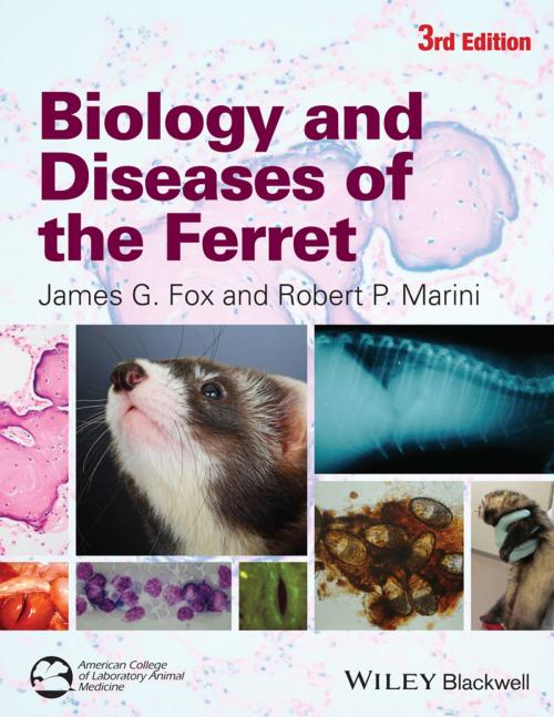 Cover of the book Biology and Diseases of the Ferret by , Wiley