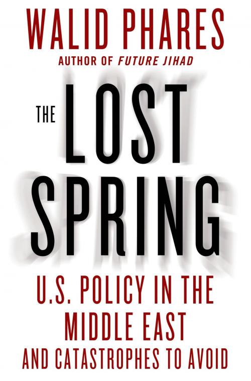 Cover of the book The Lost Spring by Walid Phares, St. Martin's Press