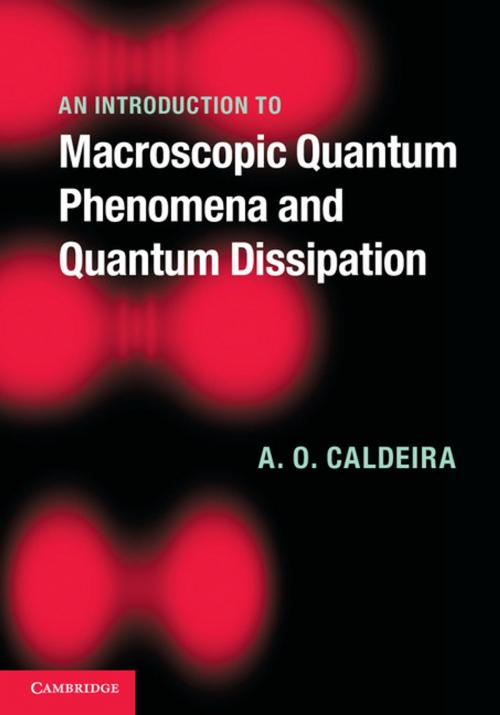 Cover of the book An Introduction to Macroscopic Quantum Phenomena and Quantum Dissipation by A. O. Caldeira, Cambridge University Press