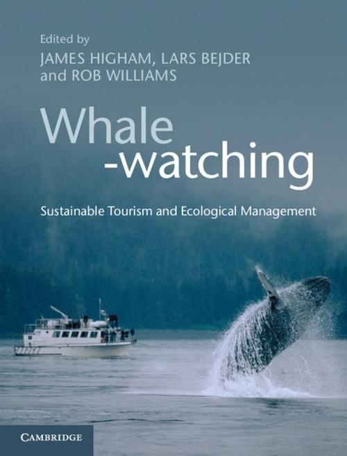 Cover of the book Whale-watching by , Cambridge University Press