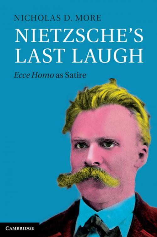 Cover of the book Nietzsche's Last Laugh by Nicholas D. More, Cambridge University Press