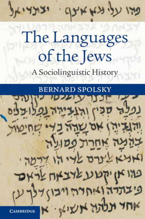 Cover of the book The Languages of the Jews by Bernard Spolsky, Cambridge University Press