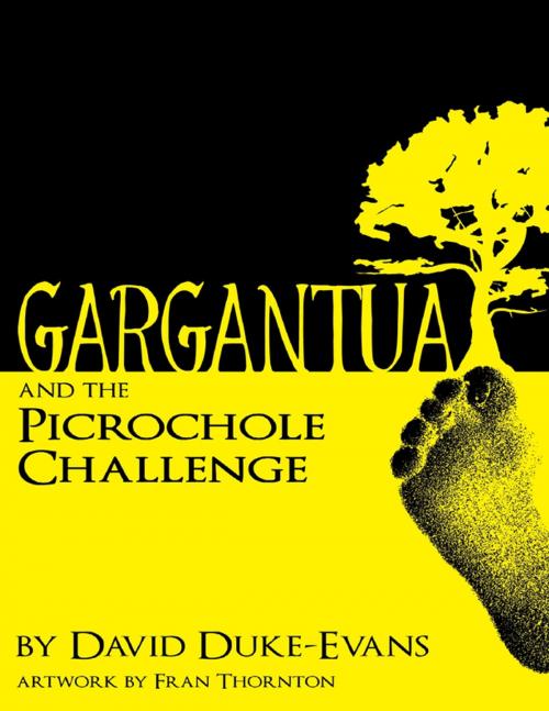 Cover of the book Gargantua and the Picrochole Challenge by David Duke-Evans, Lulu.com