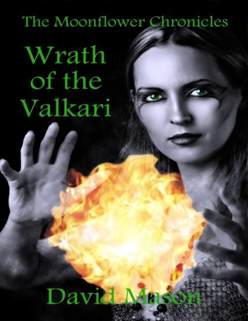 Cover of the book Wrath of the Valkari by David Mason, Lulu.com