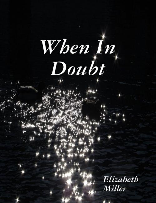 Cover of the book When In Doubt by Elizabeth Miller, Lulu.com