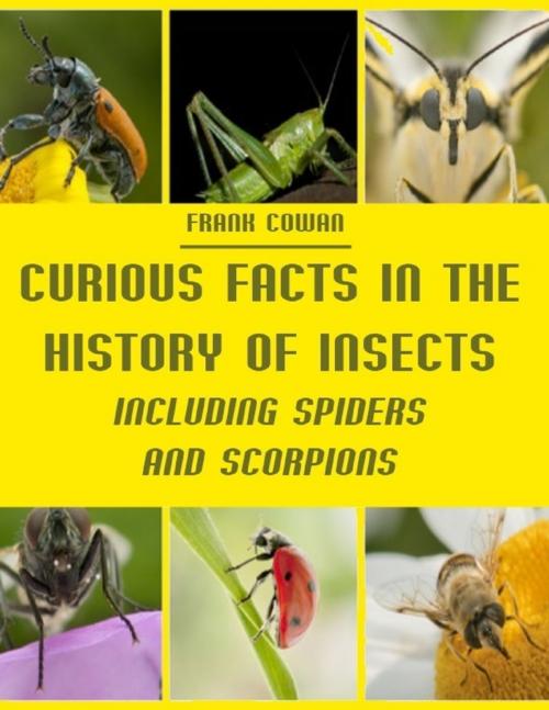 Cover of the book Curious Facts in the History of Insects : Including Spiders and Scorpions (Illustrated) by Frank Cowan, Lulu.com