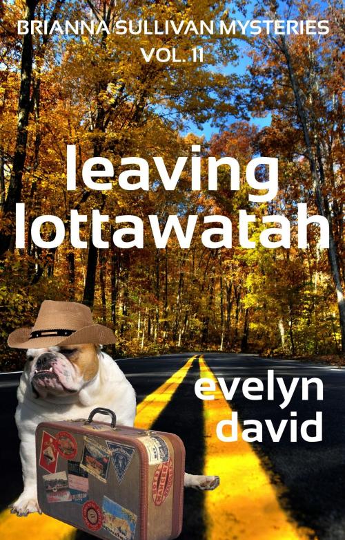 Cover of the book Leaving Lottawatah by Evelyn David, Evelyn David