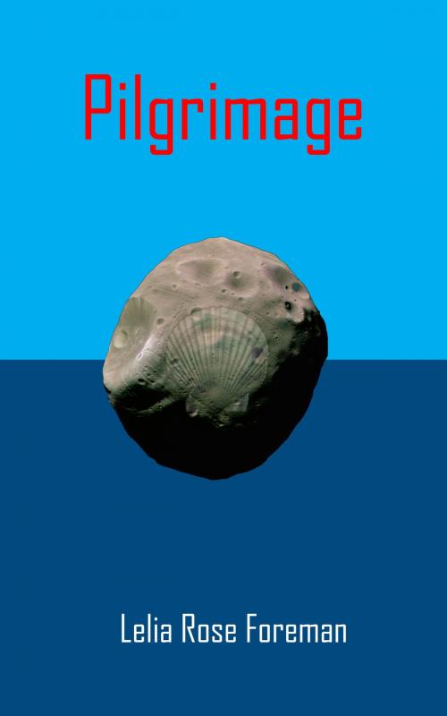Cover of the book Pilgrimage by Lelia Rose Foreman, Lelia Rose Foreman
