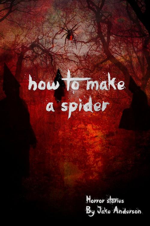 Cover of the book How to Make a Spider by Jake Anderson, Jake Anderson