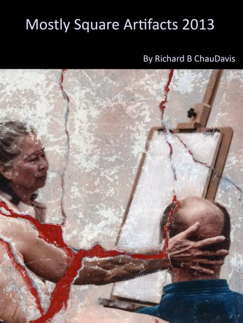 Cover of the book Mostly Square Artifacts 2013 by Richard B ChauDavis, Richard B ChauDavis