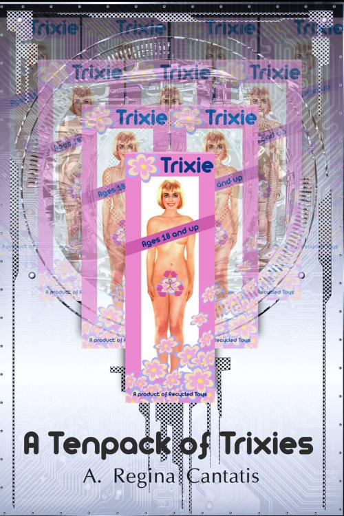 Cover of the book A Tenpack of Trixies by A. Regina Cantatis, A. Regina Cantatis