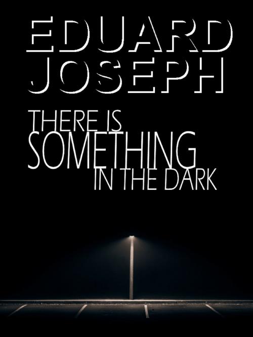 Cover of the book There is Something in the Dark by Eduard Joseph, Eduard Joseph