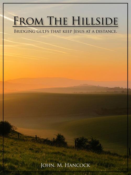 Cover of the book From the Hillside by John M. Hancock, John M. Hancock