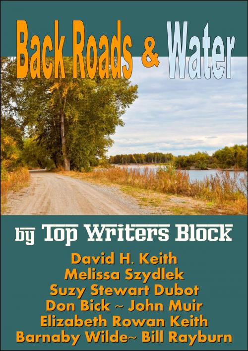 Cover of the book Back Roads & Water by Top Writers Block, Top Writers Block