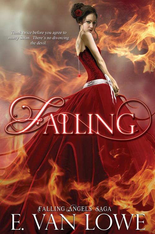 Cover of the book Falling by E. Van Lowe, Christopher Meeks