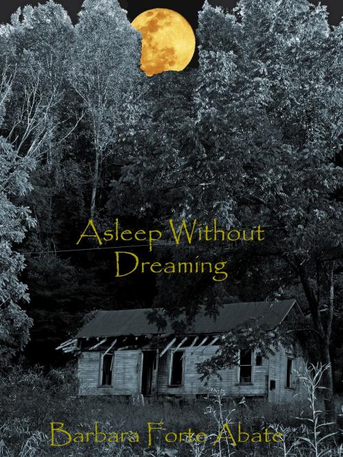 Cover of the book Asleep Without Dreaming by Barbara Forte Abate, Barbara Forte Abate