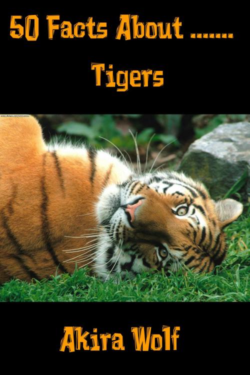 Cover of the book 50 Facts About Tigers by Akira Wolf, Akira Wolf