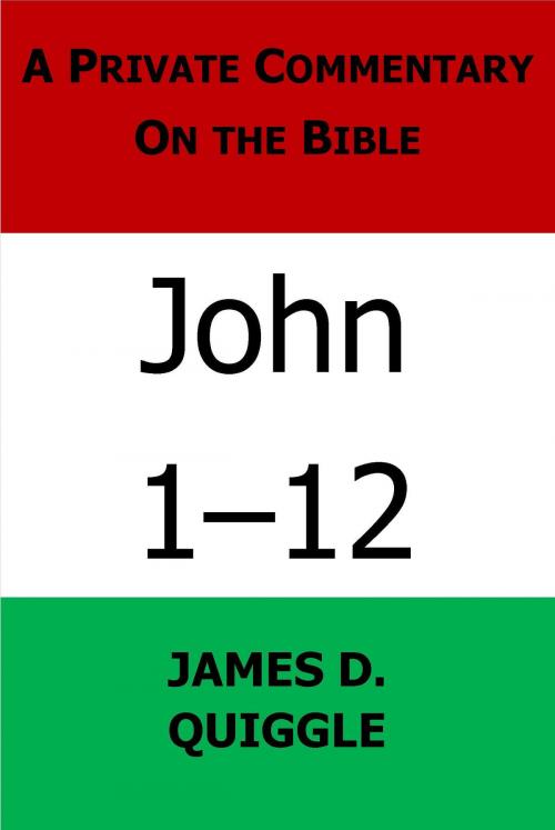 Cover of the book A Private Commentary on the Bible: John 1-12 by James D. Quiggle, James D. Quiggle