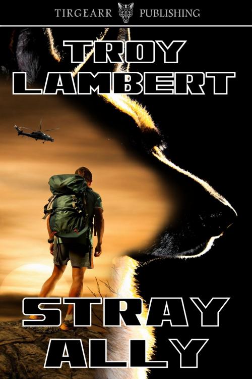 Cover of the book Stray Ally by Troy Lambert, Tirgearr Publishing