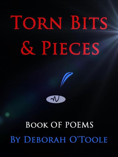 Cover of the book Torn Bits & Pieces by Deborah O'Toole, Deborah O'Toole
