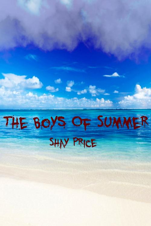 Cover of the book The Boys Of Summer by Shay Price, Shadow Portal Books