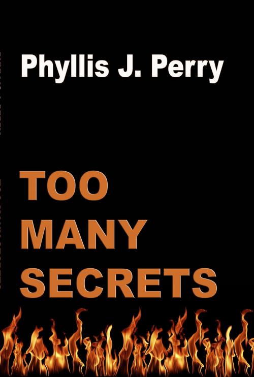 Cover of the book Too Many Secrets by Phyllis  J Perry, CUSTOM BOOK PUBLICATIONS
