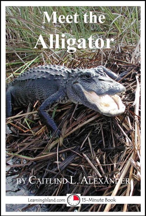 Cover of the book Meet the Alligator: A 15-Minute Book for Early Readers by Caitlind L. Alexander, LearningIsland.com