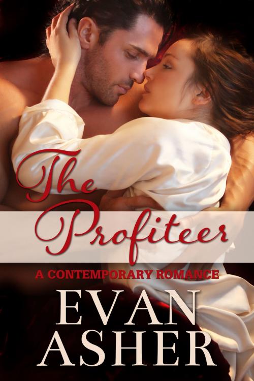 Cover of the book The Profiteer by Evan Asher, Evan Asher