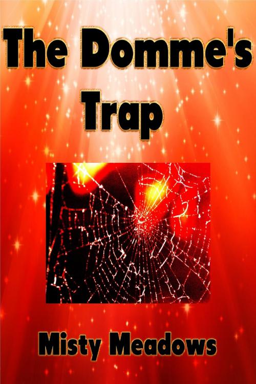 Cover of the book The Domme's Trap (Femdom) by Misty Meadows, Misty Meadows