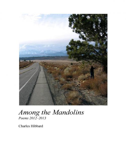 Cover of the book Among the Mandolins by Charles Hibbard, Charles Hibbard